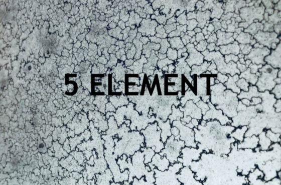 Декоративне дзеркало 5 element