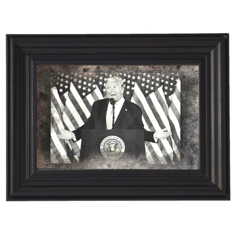 DONALD TRUMP 45 PRESIDENT OF THE USA №1861